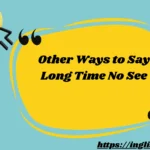 Other Ways to Say Long Time No See