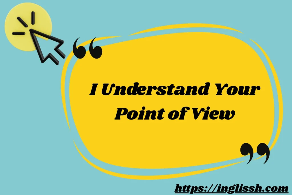 I Understand Your Point of View