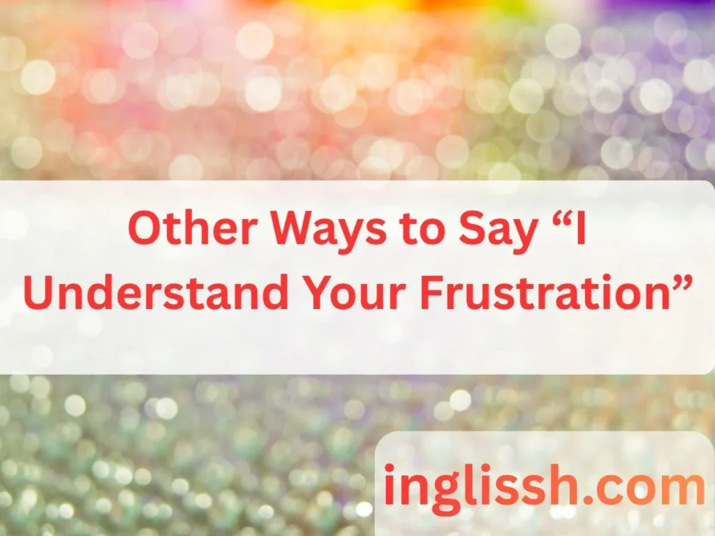 Other Ways to Say “I Understand Your Frustration”