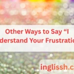 Other Ways to Say “I Understand Your Frustration”
