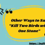 Other Ways to Say “Kill Two Birds with One Stone”